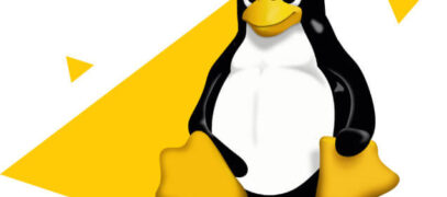 linux penguin