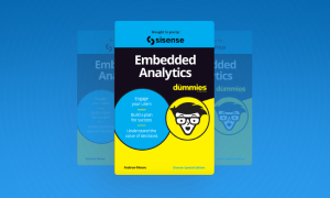 300x199 Embedded Analytics Dummies Guide 1