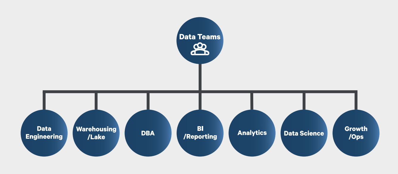 Data Team