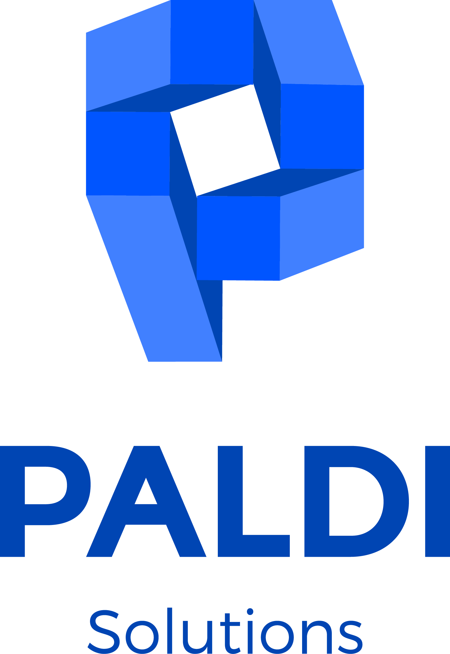 paldi logo