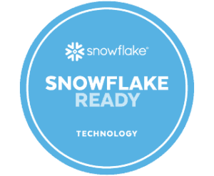 Snowflake badge 1 300x247